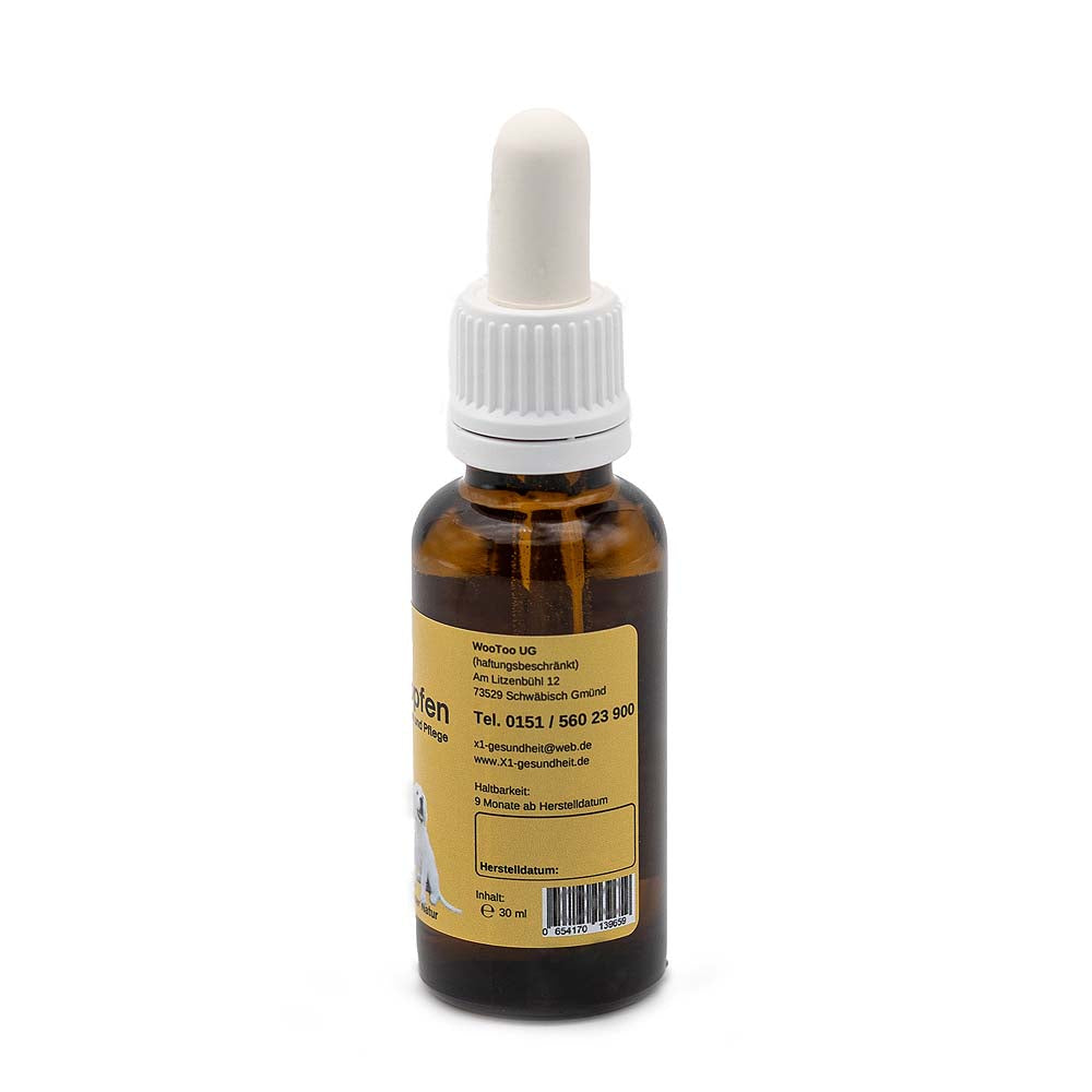 Augentropfen Hund - Silberwasser - DMSO - 30 ml