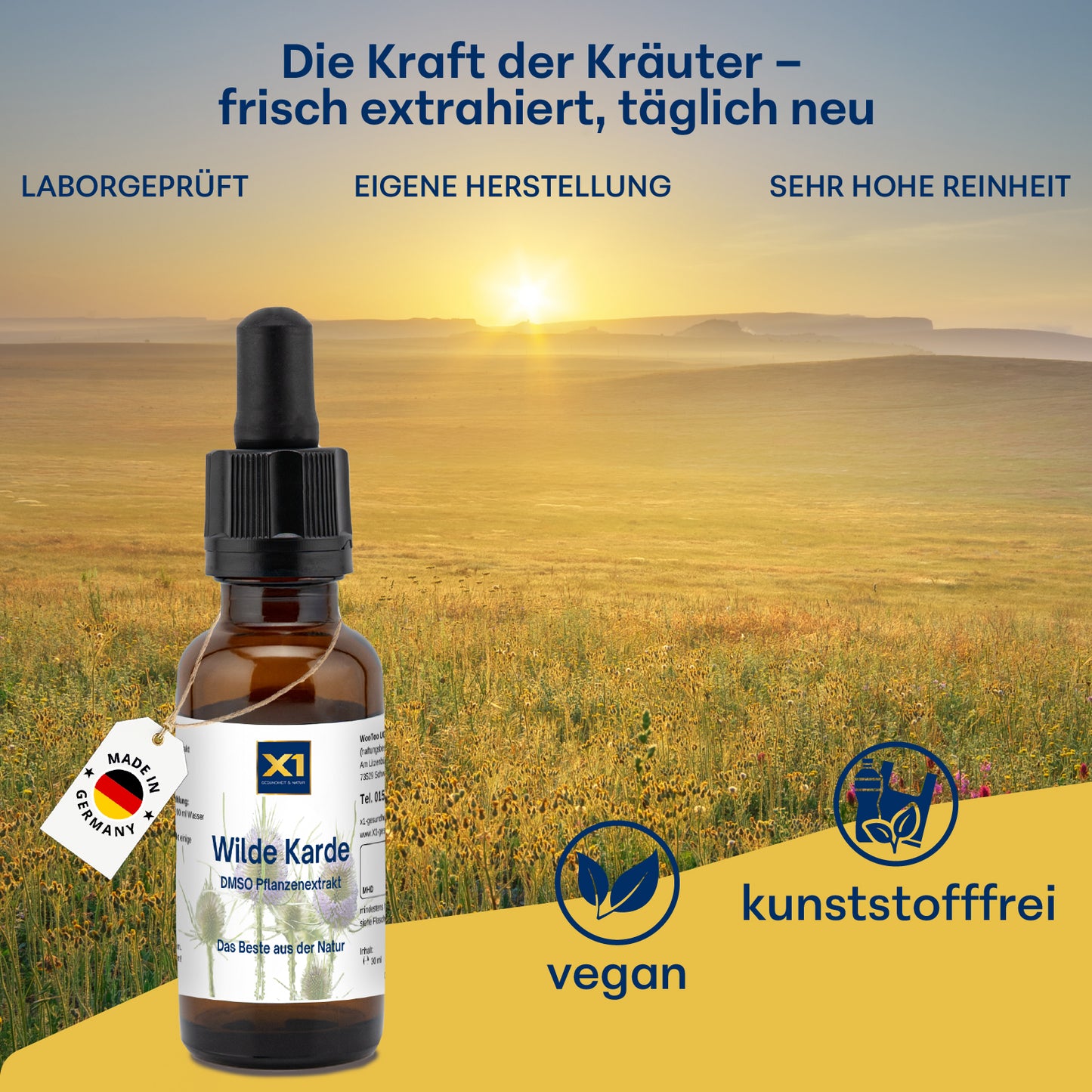 Wilde Karde DMSO-KRÄUTEREXTRAKT - 30 ml