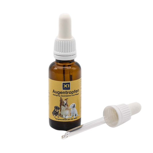 Augentropfen Hund - Silberwasser - DMSO - 30 ml