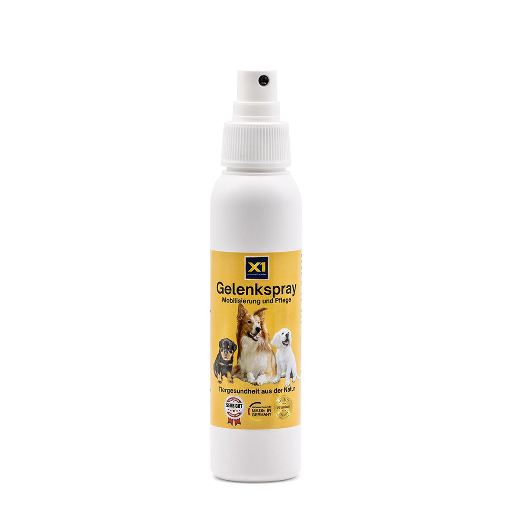 Gelenkspray Hund -  DMSO - MSM - Magnesium - Arnika -  100ml