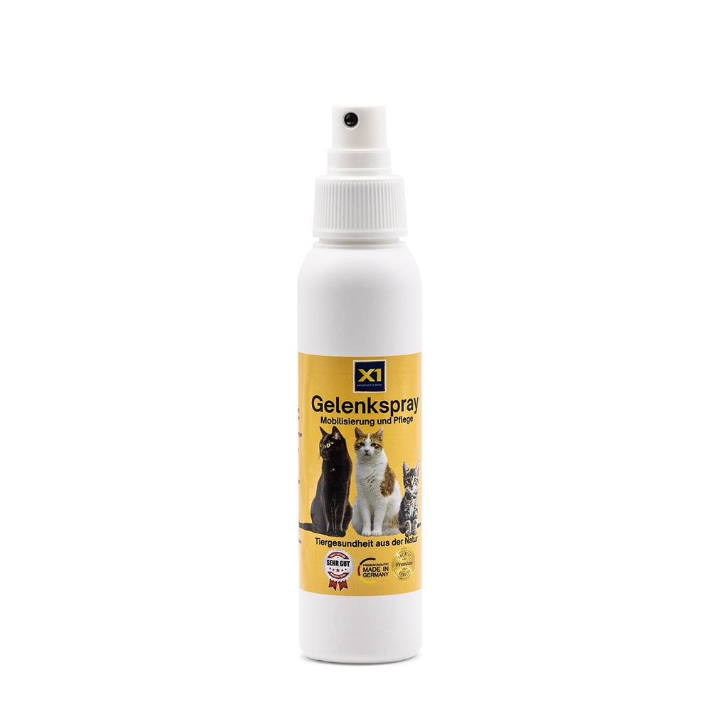 Gelenkspray Katze - DMSO - MSM - Magnesium - Arnika - 100ml