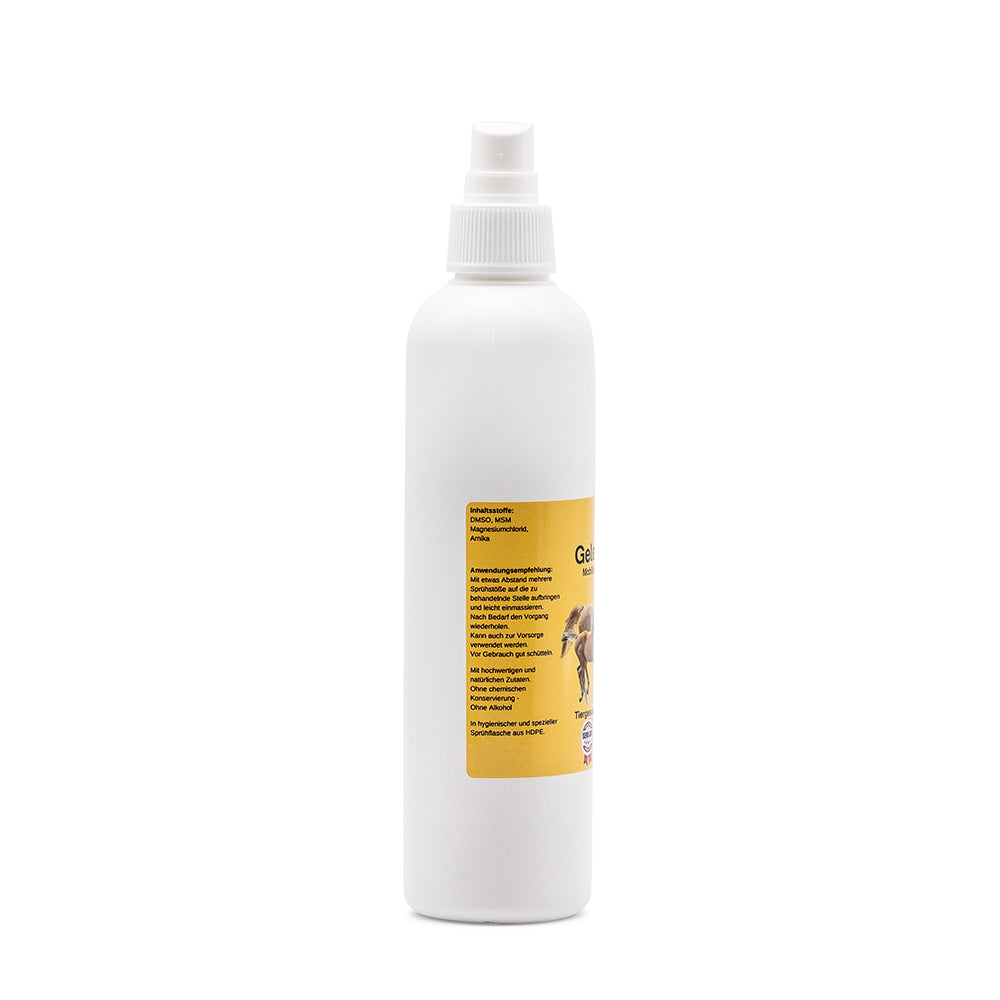 Gelenkspray Pferd - DMSO - MSM - Magnesium - Arnika - 250ml