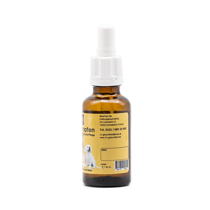 Ohrentropfen Hund - Silberwasser - CDL - DMSO - Lavendel - 30ml