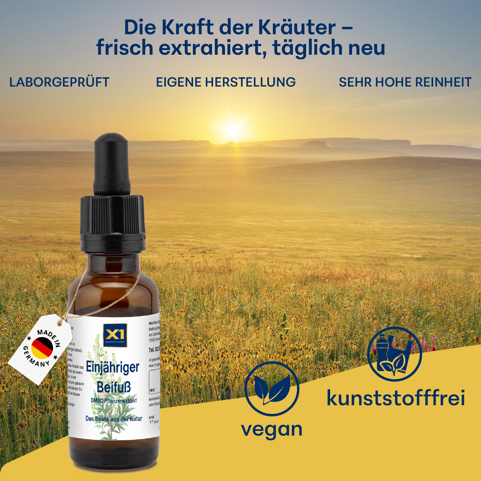 EINJÄHRIGER BEIFUß  DMSO-KRÄUTEREXTRAKT - Artemisia - 30 ml