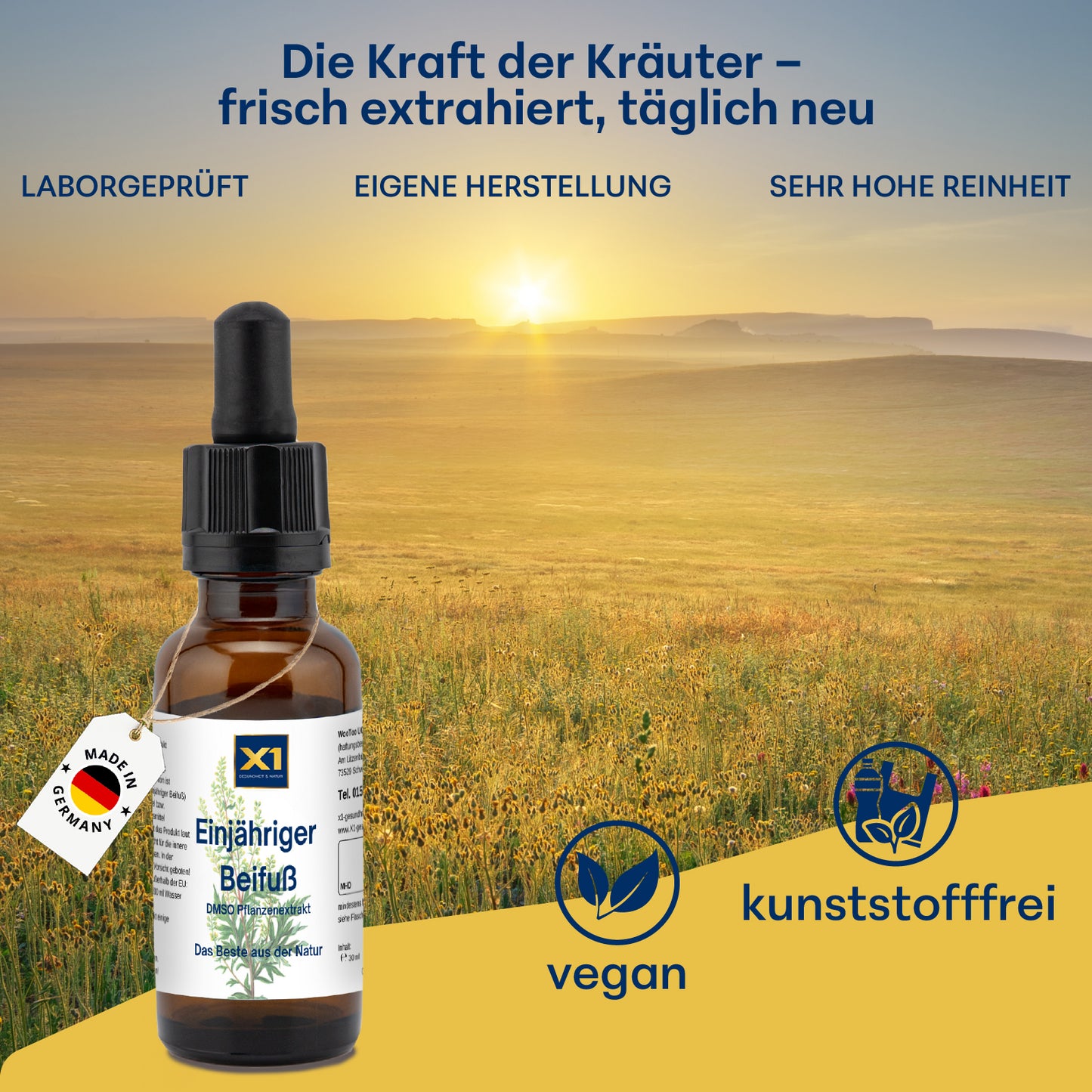 EINJÄHRIGER BEIFUß  DMSO-KRÄUTEREXTRAKT - Artemisia - 30 ml