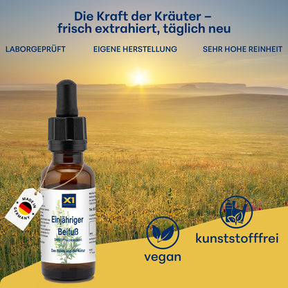 EINJÄHRIGER BEIFUß  DMSO-KRÄUTEREXTRAKT - Artemisia - 30 ml