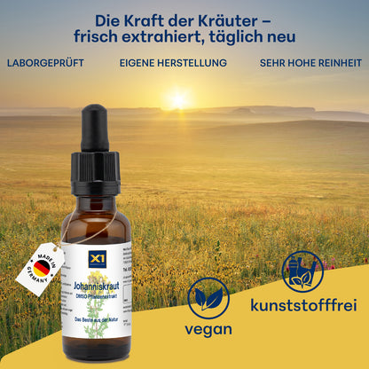 JOHANNISKRAUT DMSO-KRÄUTEREXTRAKT - 30 ml