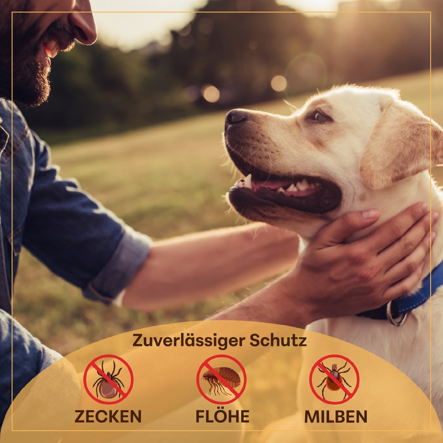 Bio Zecken, Floh- und Milbenschutz Spot-On Hund - 250ml