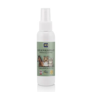 Gelenkspray - DMSO - MSM - Magnesium - Arnika