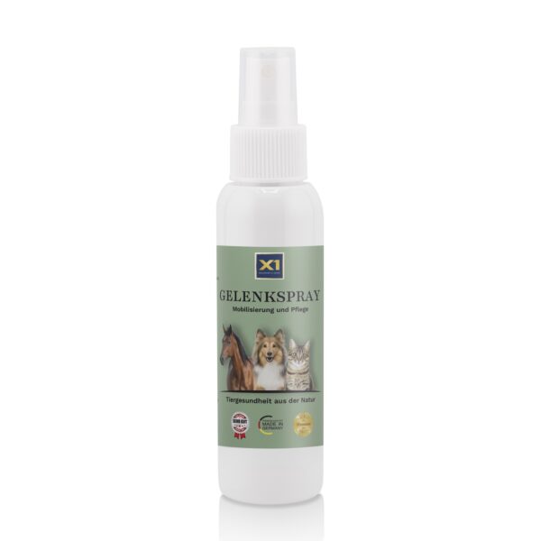 Gelenkspray - DMSO - MSM - Magnesium - Arnika