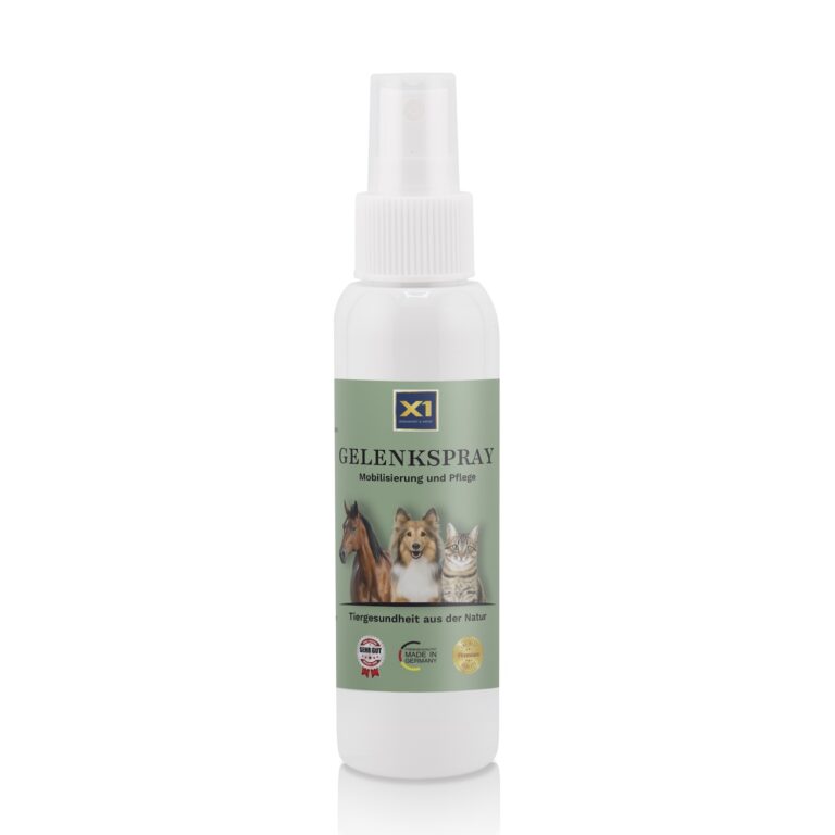 Gelenkspray - DMSO - MSM - Magnesium - Arnika